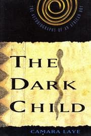 The Dark Child